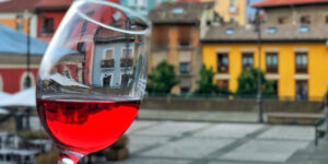 Fitur Navarra 2024 Presentación 25 años viviendo bebiendo y sintiendo el Día del Rosado