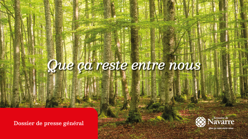 dossier general navarra fitur 2025 francés