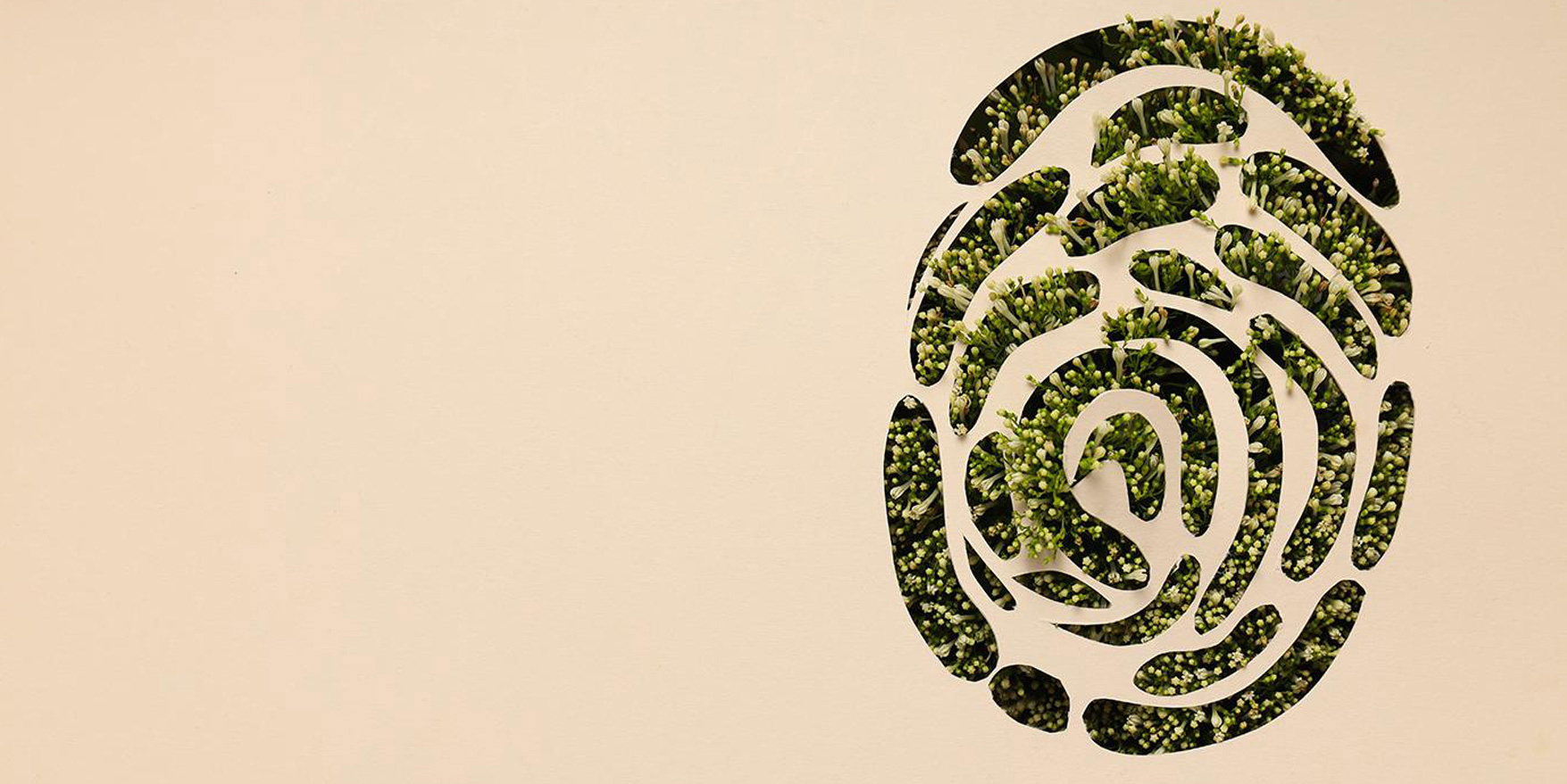 Fitur Navarra Nafarroa 2026 - Presentación de los nuevos proyectos turísticos de Navarra