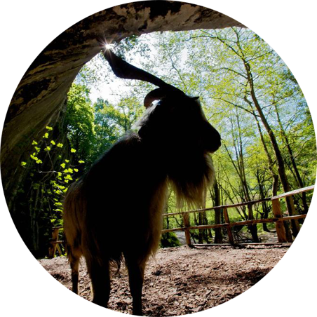 Fitur Reino de Navarra Nafarroako Erresuma Feria