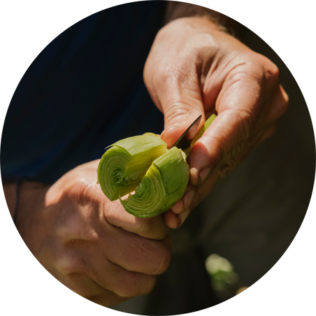 Fitur Reino de Navarra Nafarroako Erresuma Feria